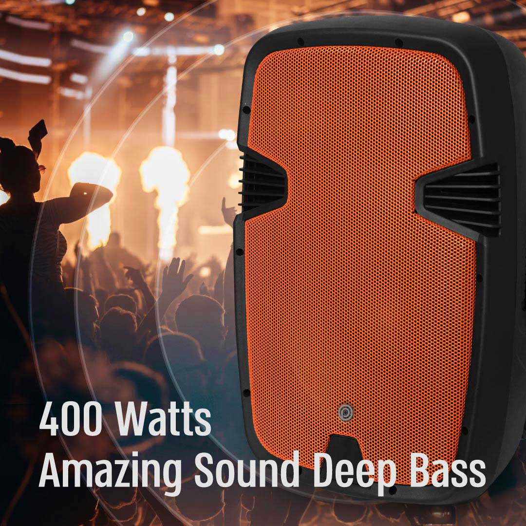 בידורית עם 2 מיקרופנים אלחוטיים Pure Acoustics PMW-3015 - צבע שחור שנה אחריות ע"י היבואן הרשמי