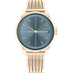 שעון יד לאישה Tommy Hilfiger Delphine 1782356 35mm - צבע רוז גולד/כחול אחריות לשנתיים