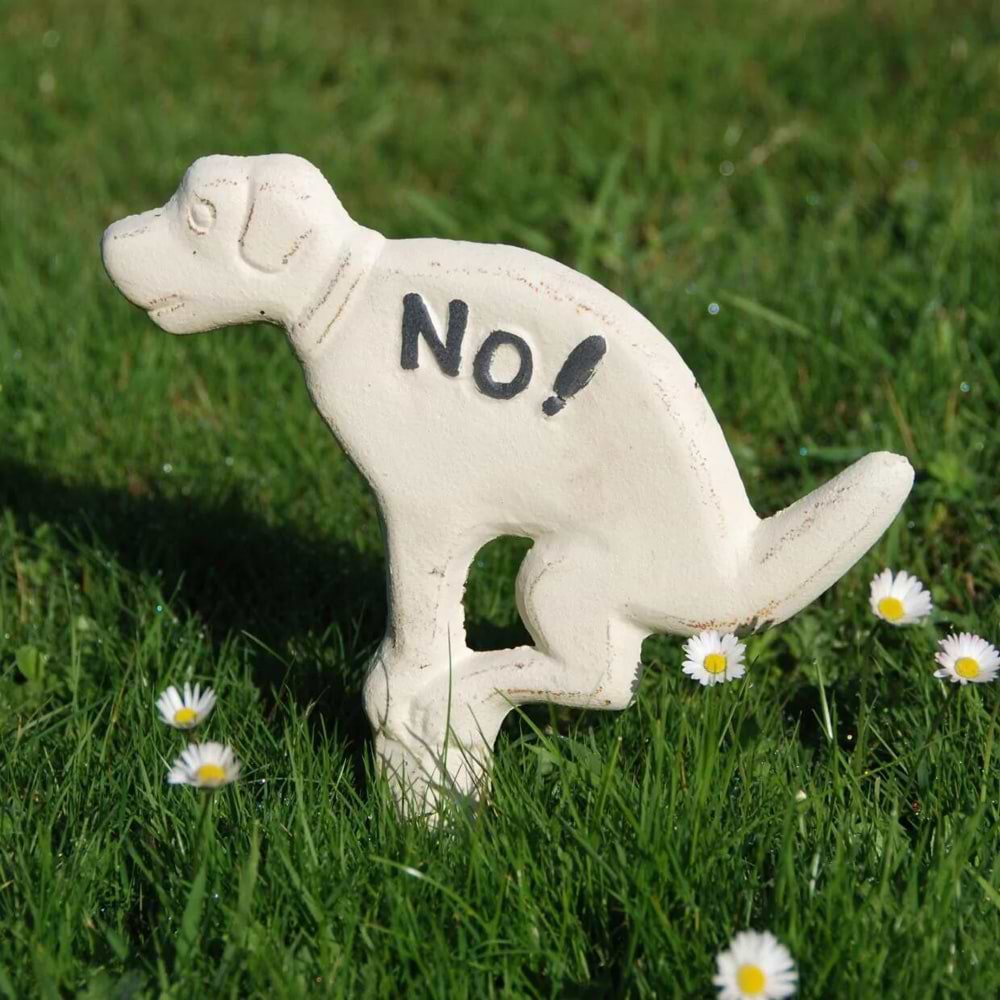 שלט כלב למדשאות ברזל לבן טיפות טבע