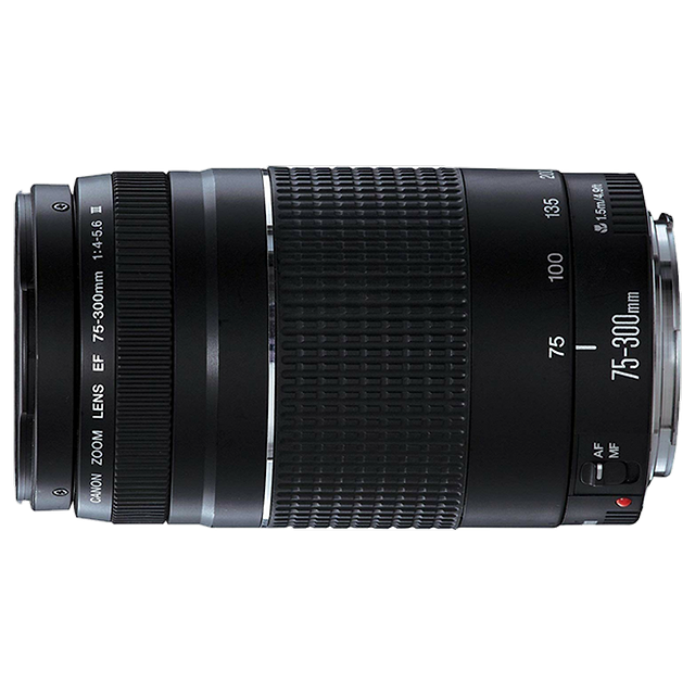 Buy Canon Zoom Lens Ef 75 300 Mm F 4 5 6 Iii Black Online Croma