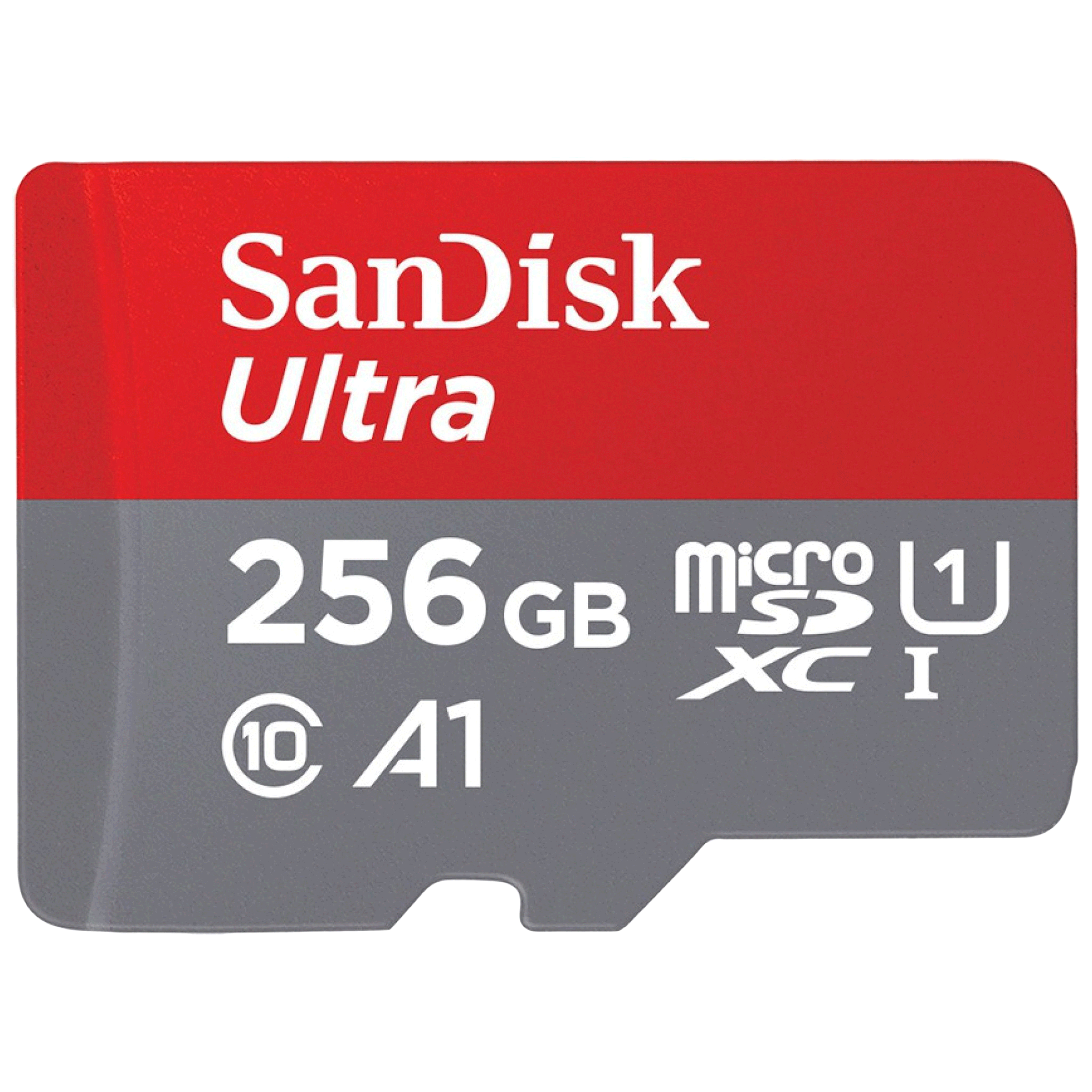 SD Card 256GB Memory Card Fast Speed Class 10 256GB Flash Memory Card for Camera,Videographers&Vloggers and Other SD Card Compatible Devices 256GB 