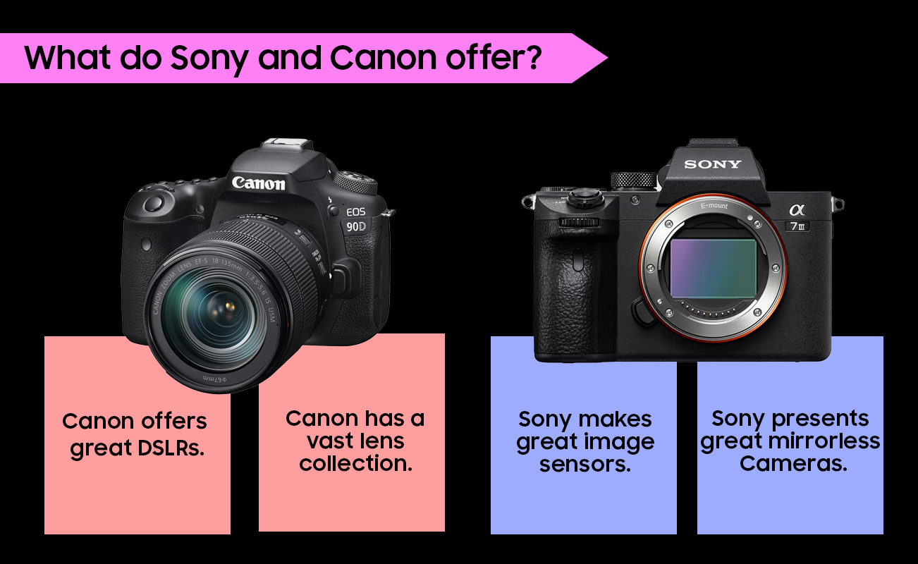 Sony vs Canon