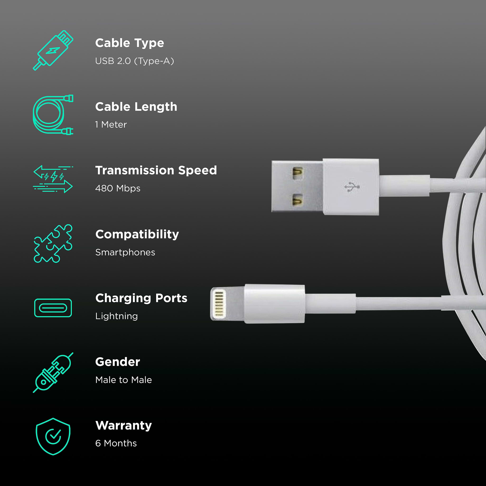 Apple Type A to Lightning 3.3 Feet (1M) Cable (Sync and Charge, White)_2